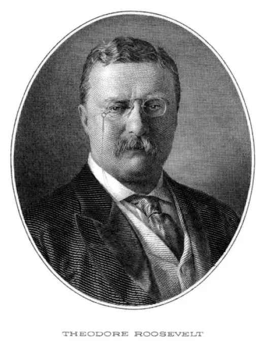 Gerahmter Druck : Theodor Roosevelt Gerahmter Druck : Theodor Roosevelt