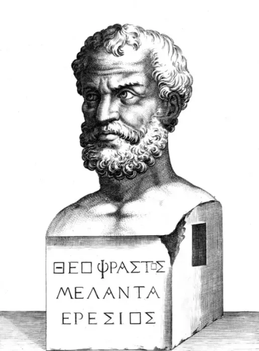 Gerahmter Druck : Der Theophrastos-Bust