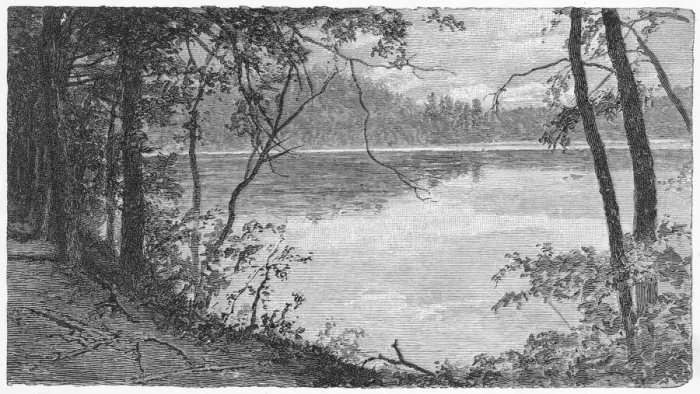 Gerahmter Druck : Thoreau-See Gerahmter Druck : Thoreau-See
