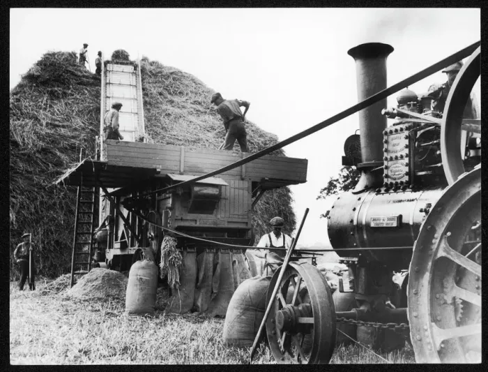 Gerahmter Druck : Getreide Stampfen Gerahmter Druck : Getreide Stampfen