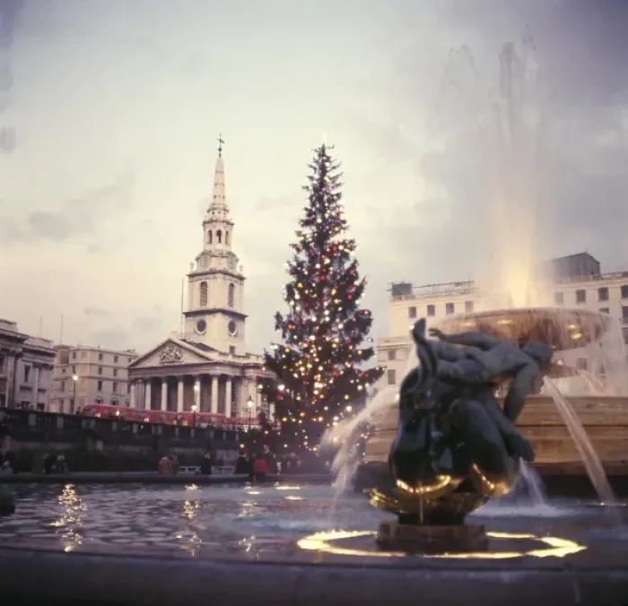 Gerahmter Druck : Die Trafalgarsquare-Platzbaum Gerahmter Druck : Die Trafalgarsquare-Platzbaum