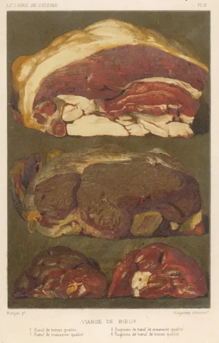 Gerahmter Druck : Viele Schnitte Rindfleisch