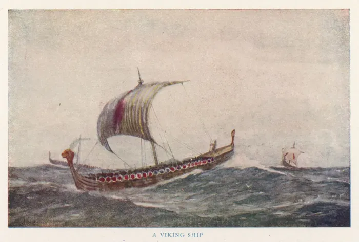 Gerahmter Druck : Vikingschiffe Gerahmter Druck : Vikingschiffe