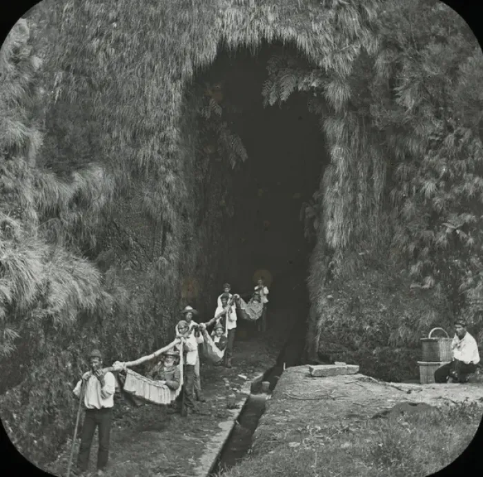 Gerahmter Druck : Besuch auf der Madeira - Der Levedatunnel Gerahmter Druck : Besuch auf der Madeira - Der Levedatunnel