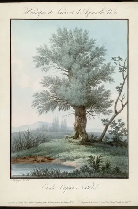 Gerahmter Druck : Weiden  /  Wasserfarbe  /  1850
