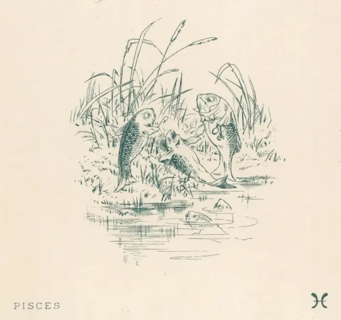 Gerahmter Druck : Pisces des Sternbildes