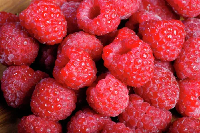 Gerahmter Druck : Raspberry. PPG-1779 Raspberryschleier Rosskohl Pascals Goetgheluck Bitte beachten Sie Gerahmter Druck : Raspberry. PPG-1779 Raspberryschleier Rosskohl Pascals Goetgheluck Bitte beachten Sie