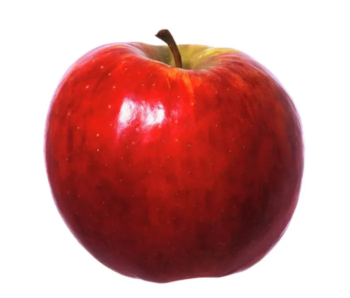 Gerahmter Druck : Red apple. PPG-1773 Rot Apfel Pascaldie Götthelück Bitte beachten Sie Gerahmter Druck : Red apple. PPG-1773 Rot Apfel Pascaldie Götthelück Bitte beachten Sie