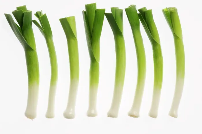 Gerahmter Druck : Scallion. LA-1046 LeekJeanMichelLabat Beachten Sie Gerahmter Druck : Scallion. LA-1046 LeekJeanMichelLabat Beachten Sie