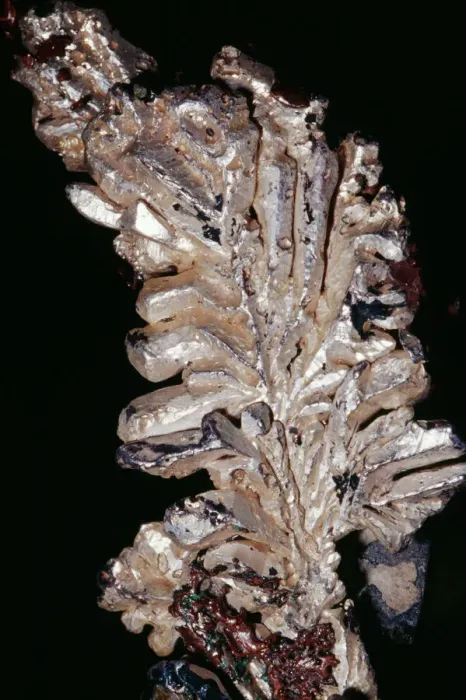 Gerahmter Druck : Silber (Einfaches Element) Ag Quincymine, Hancock, Michigan Gerahmter Druck : Silber (Einfaches Element) Ag Quincymine, Hancock, Michigan