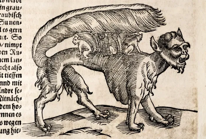 Gerahmter Druck : 1627 Ein Tier genannt Su Gerahmter Druck : 1627 Ein Tier genannt Su