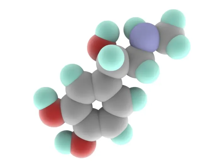 Gerahmter Druck : Epinephrinmolekül Adrenalin Gerahmter Druck : Epinephrinmolekül Adrenalin