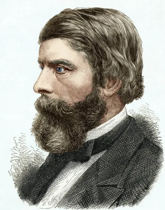 Gerahmter Druck : Alexander Williamson, britischer Chemiker Gerahmter Druck : Alexander Williamson, britischer Chemiker