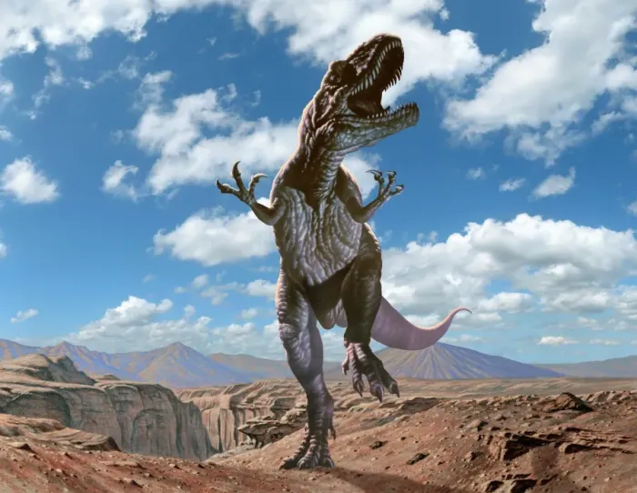 Gerahmter Druck : Riesen-Allosaurus Gerahmter Druck : Riesen-Allosaurus