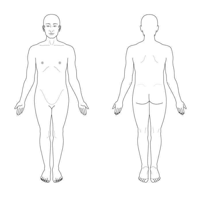 Gerahmter Druck : Anatomische Position als Kunstwerk Gerahmter Druck : Anatomische Position als Kunstwerk