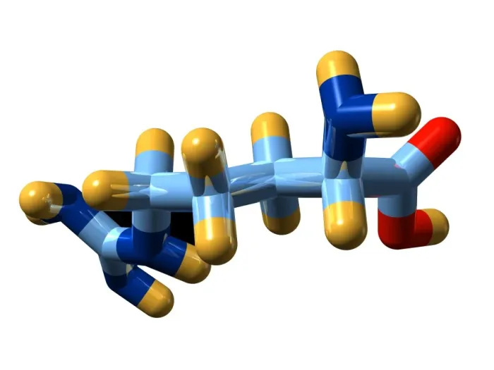 Gerahmter Druck : Arginin, molekularer Modell Gerahmter Druck : Arginin, molekularer Modell