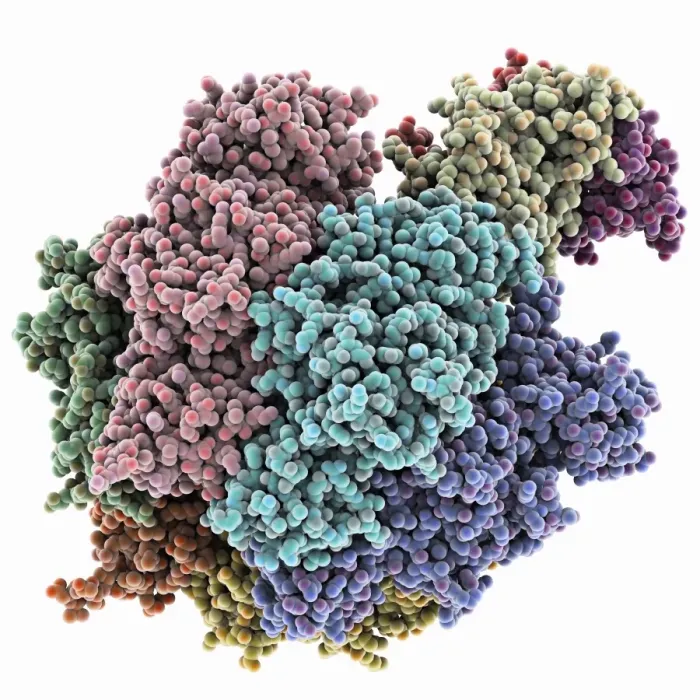 Gerahmter Druck : Molekül der ATPase Gerahmter Druck : Molekül der ATPase