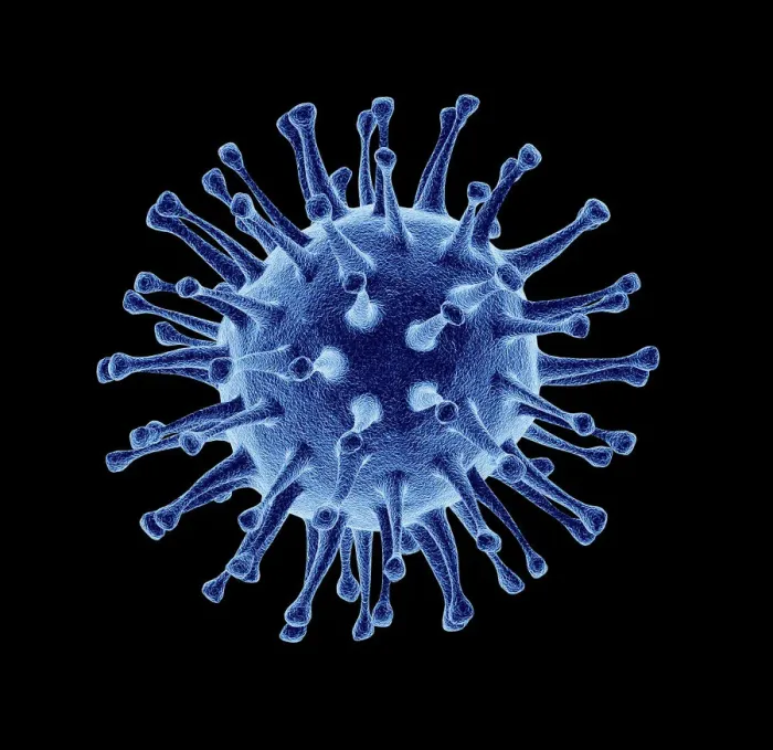 Gerahmter Druck : Vogelflu Virus Gerahmter Druck : Vogelflu Virus