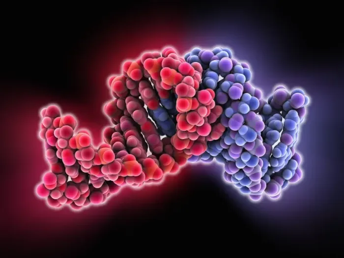Gerahmter Druck : Bakterieller RNAsäure Plasmid-Loop-Loop-Komplex Gerahmter Druck : Bakterieller RNAsäure Plasmid-Loop-Loop-Komplex
