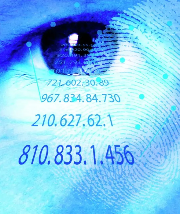 Gerahmter Druck : Biometrische Scans Gerahmter Druck : Biometrische Scans