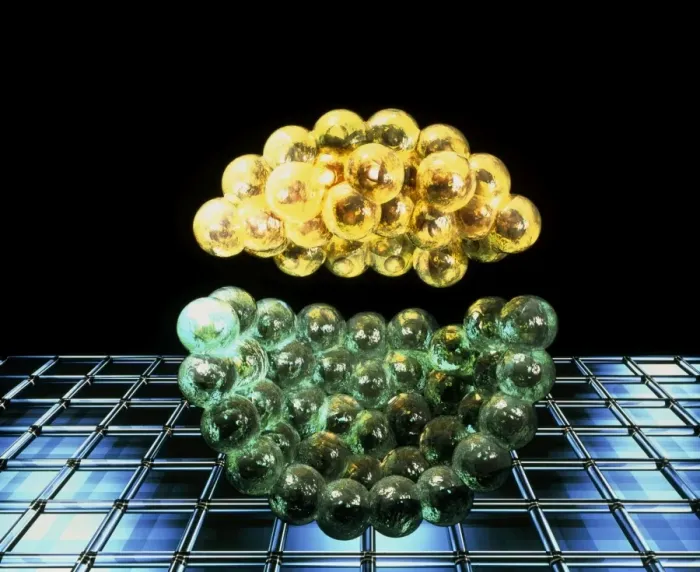 Gerahmter Druck : Blasozystenembryo Gerahmter Druck : Blasozystenembryo