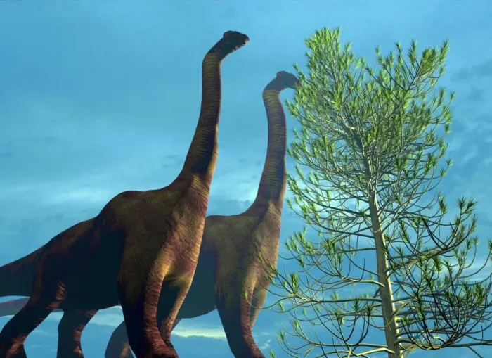 Gerahmter Druck : Brachiosauridae Dinosaurier Gerahmter Druck : Brachiosauridae Dinosaurier