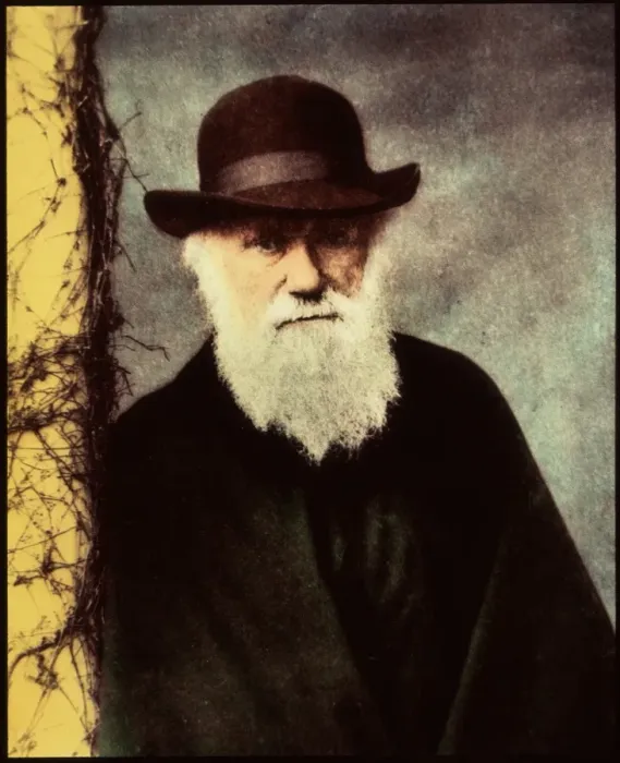 Gerahmter Druck : Karl Friedrich Ernst von Basadillo Gerahmter Druck : Karl Friedrich Ernst von Basadillo