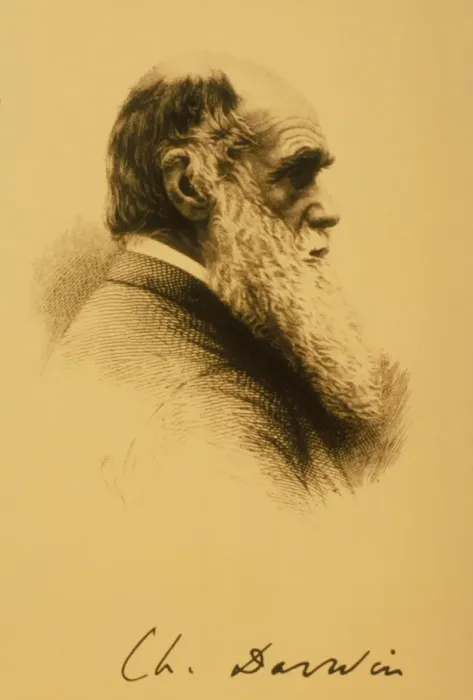 Gerahmter Druck : Charles Robert Darwin Gerahmter Druck : Charles Robert Darwin