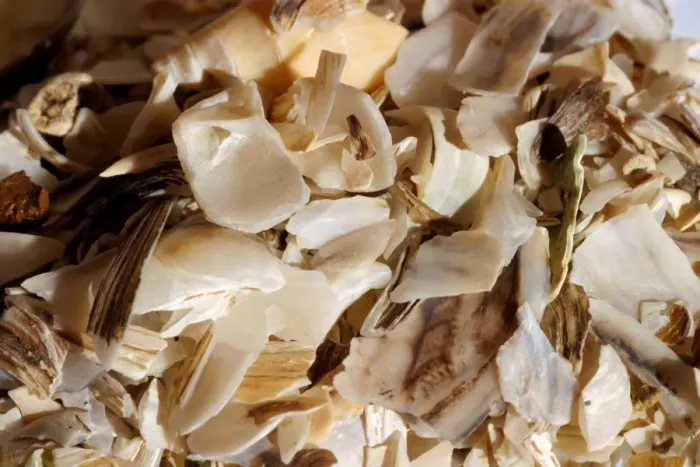 Gerahmter Druck : Küstenmuschelfragmenten Gerahmter Druck : Küstenmuschelfragmenten