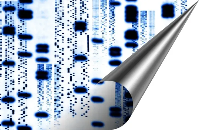 Gerahmter Druck : Computerverkunst der DNS Autoradiogrammsequenzen Gerahmter Druck : Computerverkunst der DNS Autoradiogrammsequenzen