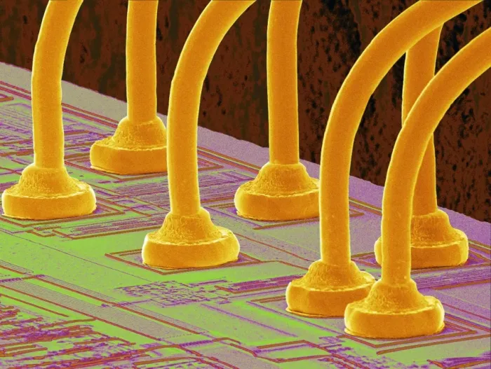 Gerahmter Druck : Elektronenröhre, SEM Gerahmter Druck : Elektronenröhre, SEM