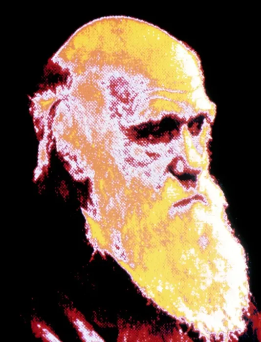 Gerahmter Druck : Computerfarbiger Porträt von Darwin. Gerahmter Druck : Computerfarbiger Porträt von Darwin.