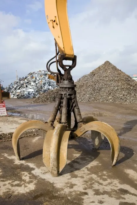 Gerahmter Druck : Kranklauebecher Gerahmter Druck : Kranklauebecher