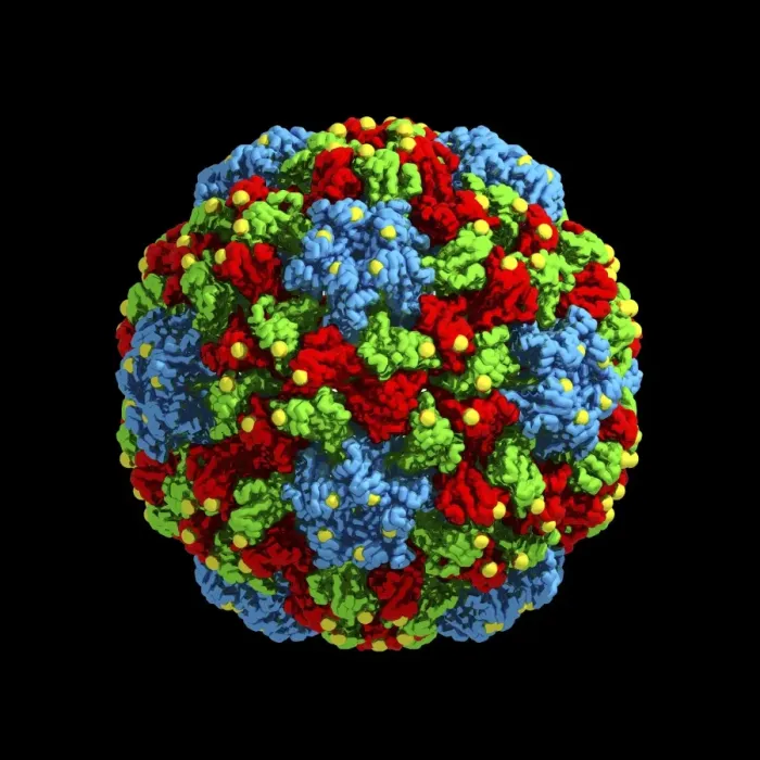 Gerahmter Druck : Kuchumber-Mosaikvirus, Computermodell Gerahmter Druck : Kuchumber-Mosaikvirus, Computermodell