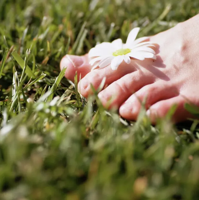 Gerahmter Druck : Die Zehen der Daisy Gerahmter Druck : Die Zehen der Daisy