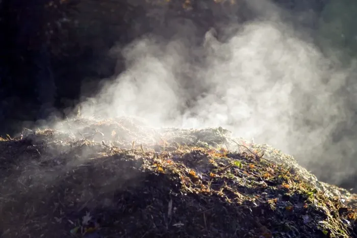 Gerahmter Druck : Decomposition Gerahmter Druck : Decomposition
