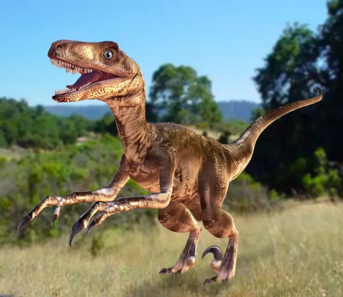 Gerahmter Druck : Deinonychus-Dinosaur Gerahmter Druck : Deinonychus-Dinosaur