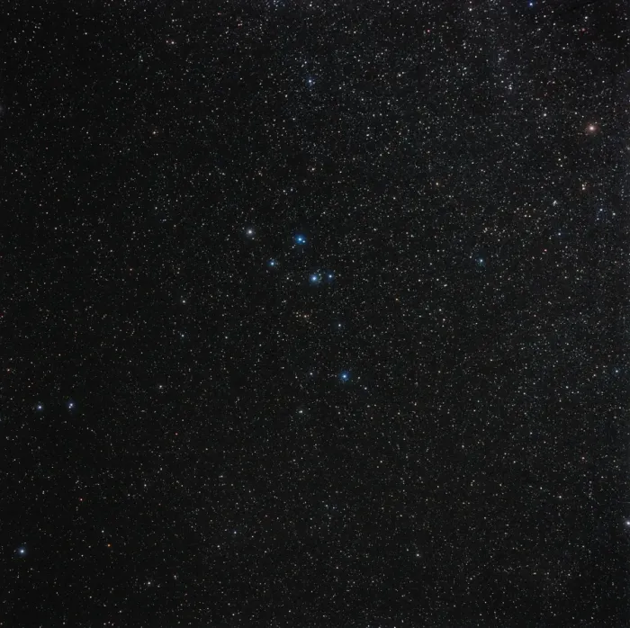 Gerahmter Druck : Delfinus-Konstellation Gerahmter Druck : Delfinus-Konstellation