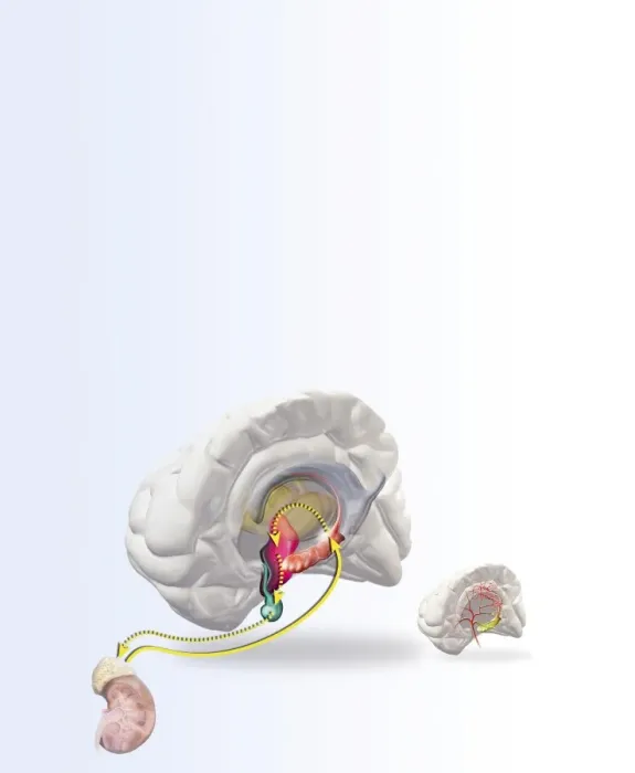 Gerahmter Druck : Depression, Kunstwerk. Gerahmter Druck : Depression, Kunstwerk.