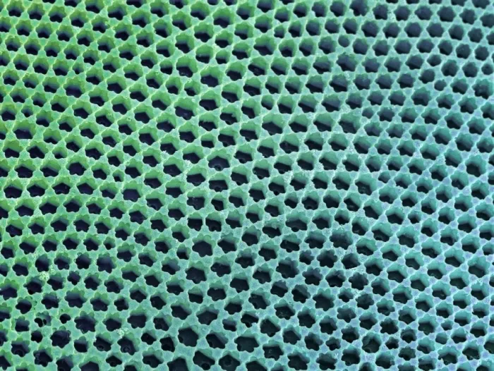 Gerahmter Druck : Diatomzellwand, SEM Gerahmter Druck : Diatomzellwand, SEM