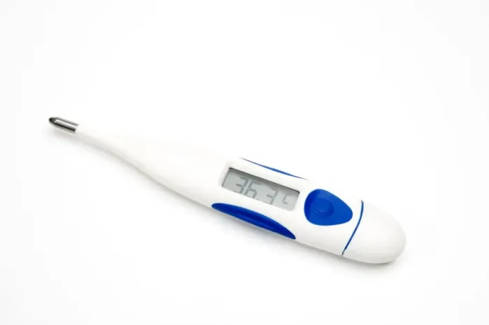 Gerahmter Druck : Digitales Thermometer Gerahmter Druck : Digitales Thermometer