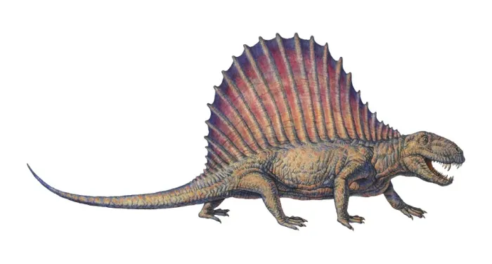 Gerahmter Druck : Dimetrodon, Computerkunstwerk