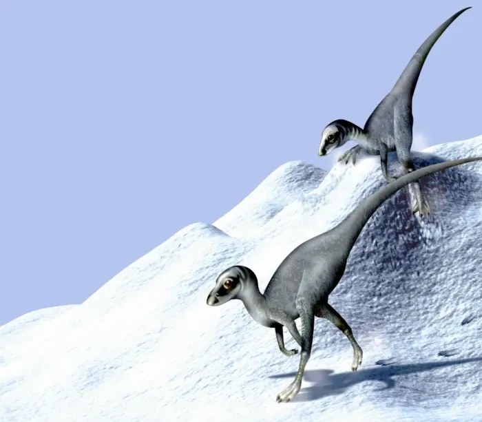 Gerahmter Druck : Dinosaurier im Schnee Gerahmter Druck : Dinosaurier im Schnee