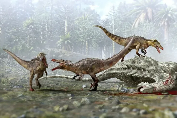 Gerahmter Druck : Australoraptoren Dinosaurier Gerahmter Druck : Australoraptoren Dinosaurier