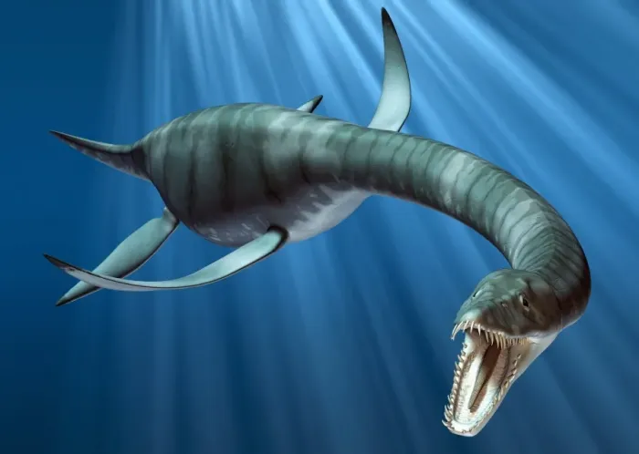 Gerahmter Druck : Plesiosaurschlagkunst Gerahmter Druck : Plesiosaurschlagkunst
