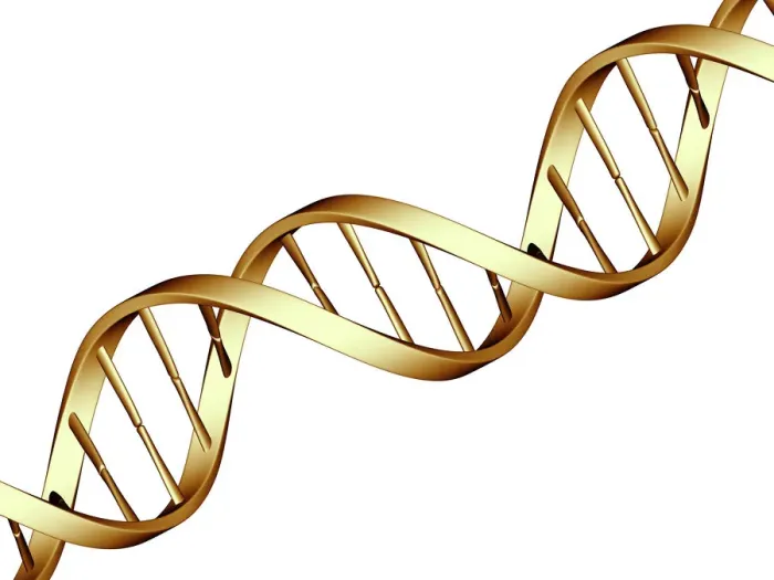 Gerahmter Druck : DNS-Molekül Gerahmter Druck : DNS-Molekül