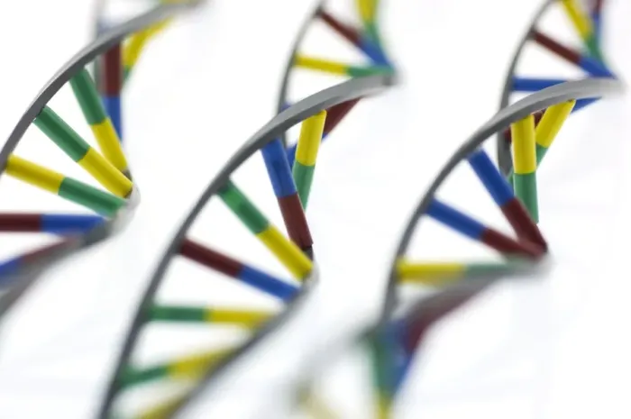 Gerahmter Druck : DNS-Moleküle Gerahmter Druck : DNS-Moleküle