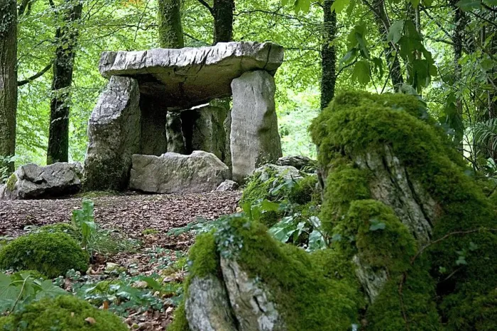 Gerahmter Druck : Dolmen. Ein Dolmen im Craggaunowen Project in County Clare, Irland Gerahmter Druck : Dolmen. Ein Dolmen im Craggaunowen Project in County Clare, Irland