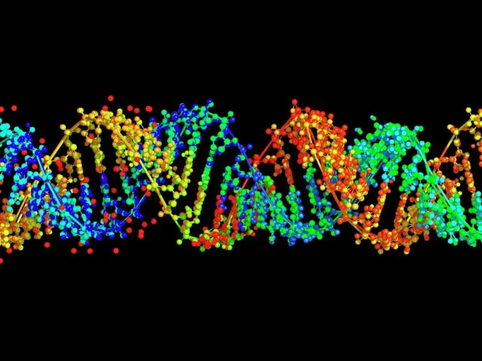Gerahmter Druck : Doppelstrang-RNA-Molekül Gerahmter Druck : Doppelstrang-RNA-Molekül
