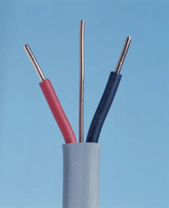 Gerahmter Druck : Elektrischer Kabel Gerahmter Druck : Elektrischer Kabel